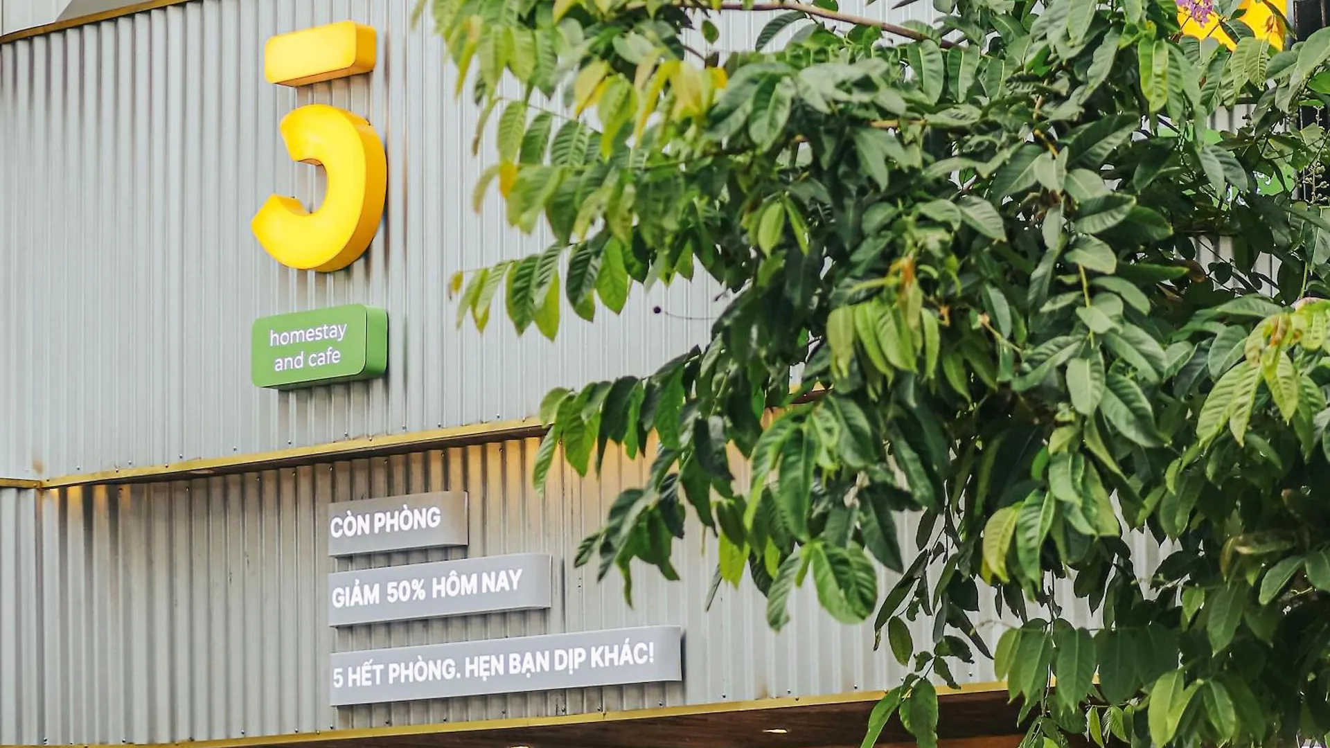 5-Homestay III Vung Tau Vietnam