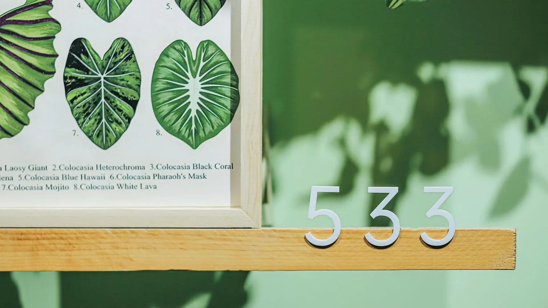 5-Homestay III Vung Tau Lägenhetshotell