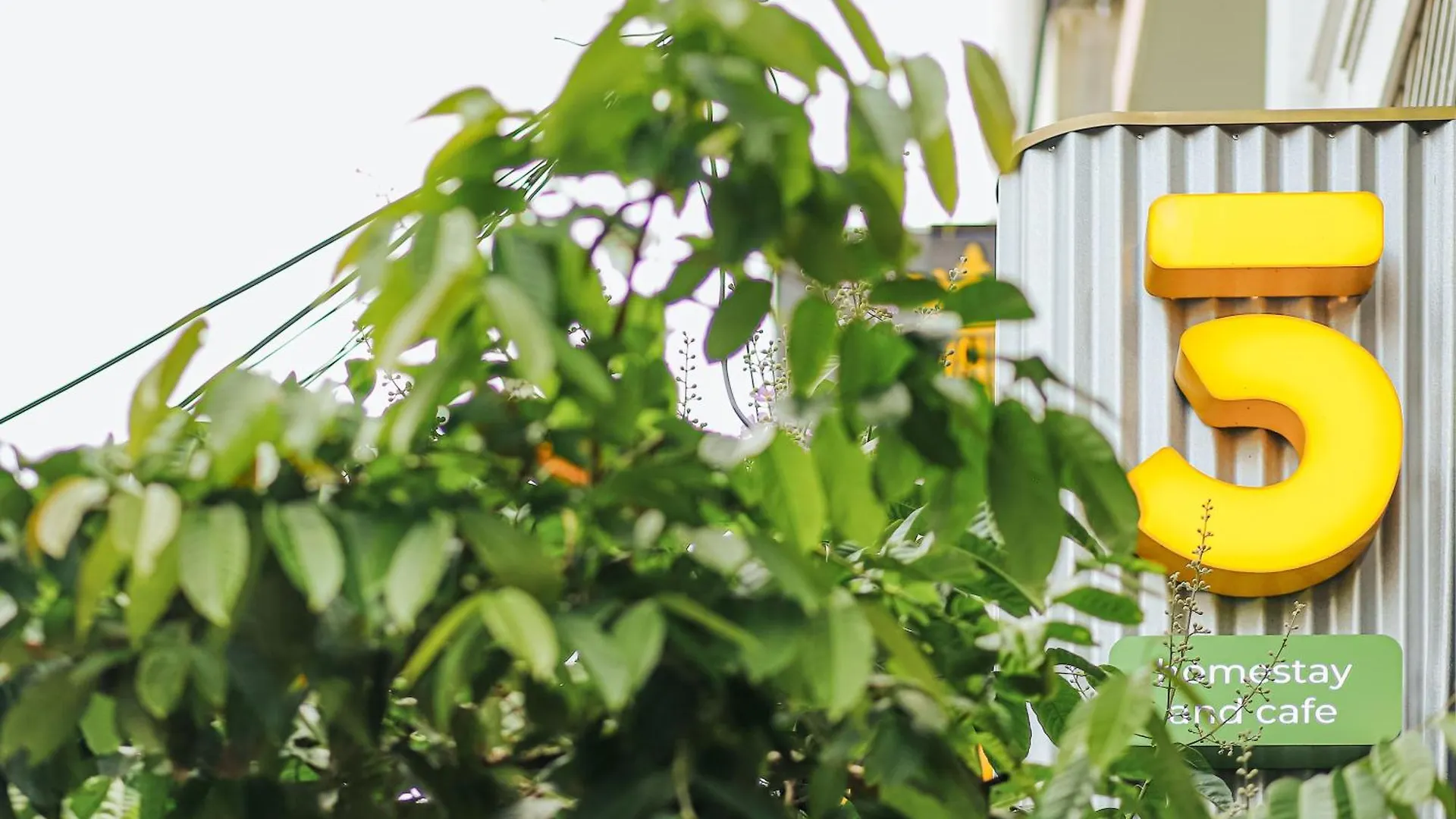 Appart hôtel 5-Homestay III Vung Tau Vietnam